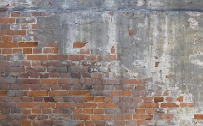 Renovation 14X9 Ultracloth ( 168 X 108 Inch ) Backdrop