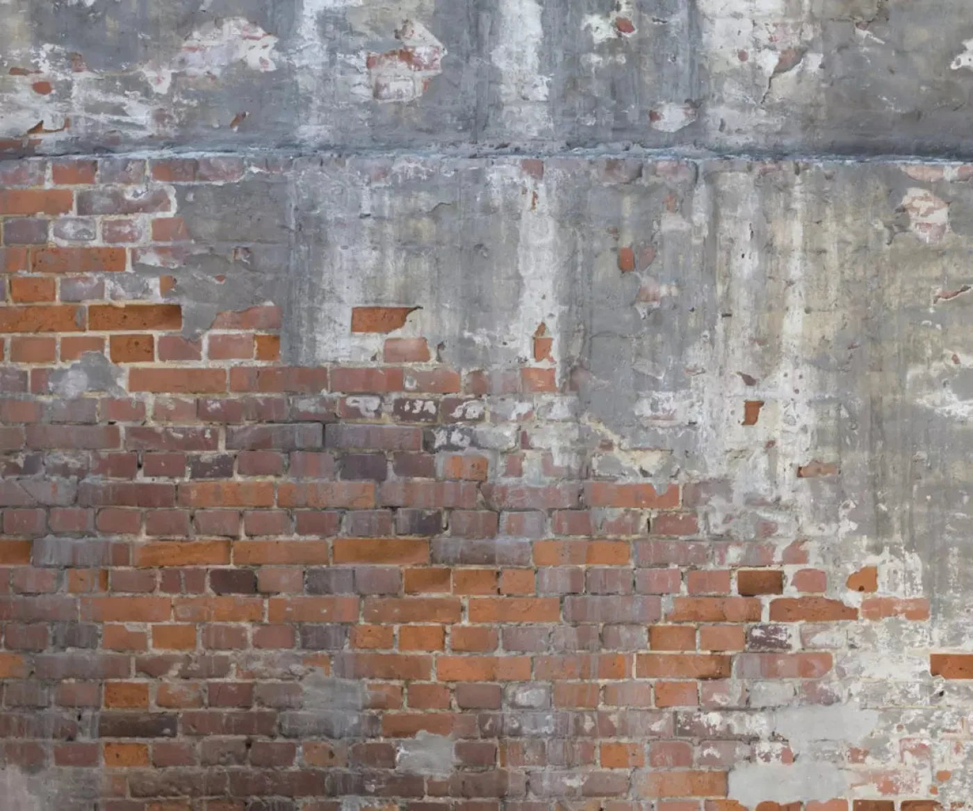 Renovation 5X42 Fleece ( 60 X 50 Inch ) Backdrop