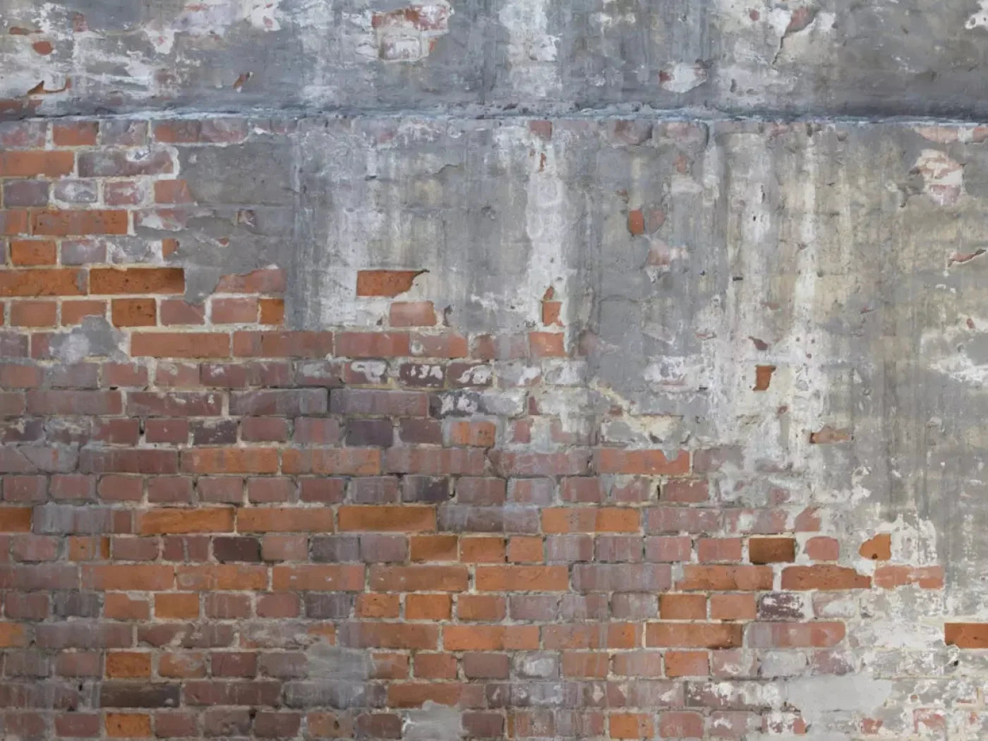 Renovation 7X5 Ultracloth ( 84 X 60 Inch ) Backdrop