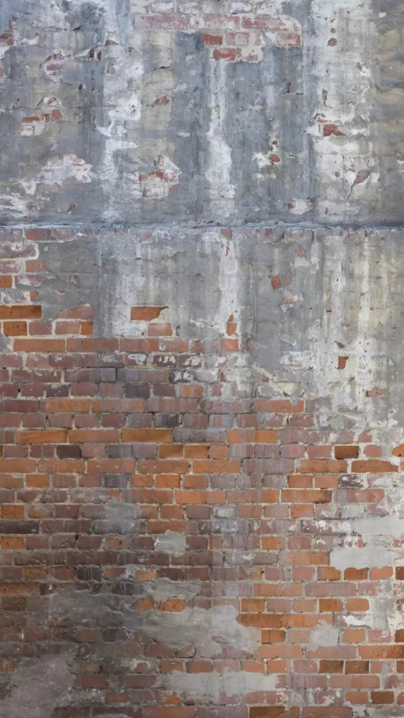 Renovation 8X14 Ultracloth ( 96 X 168 Inch ) Backdrop