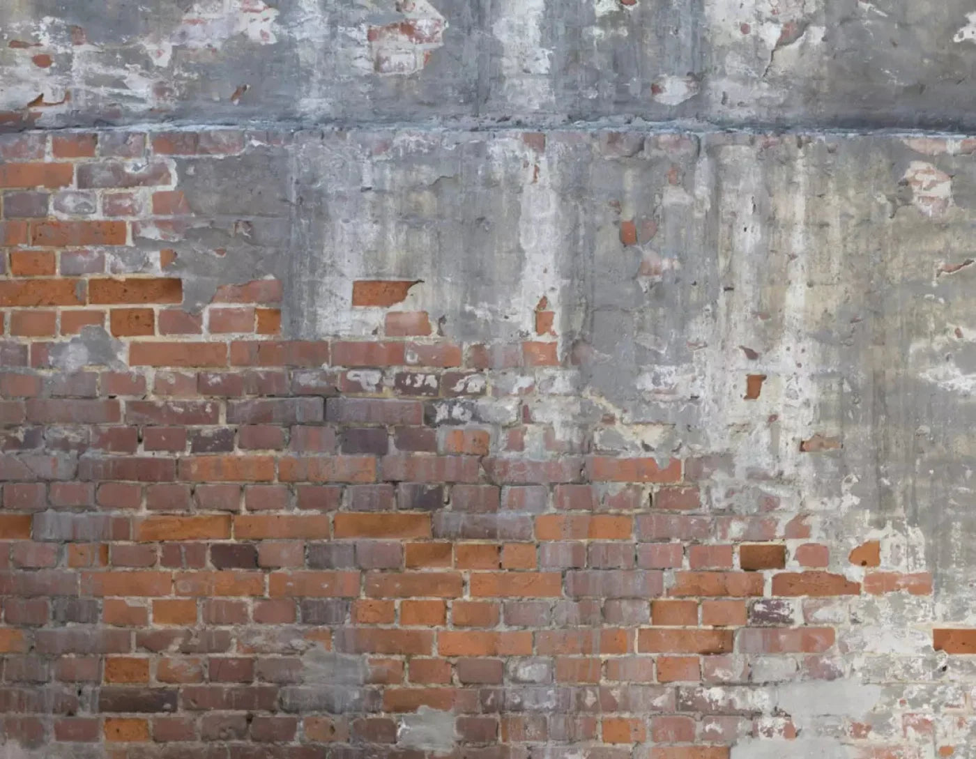 Renovation 8X6 Fleece ( 96 X 72 Inch ) Backdrop