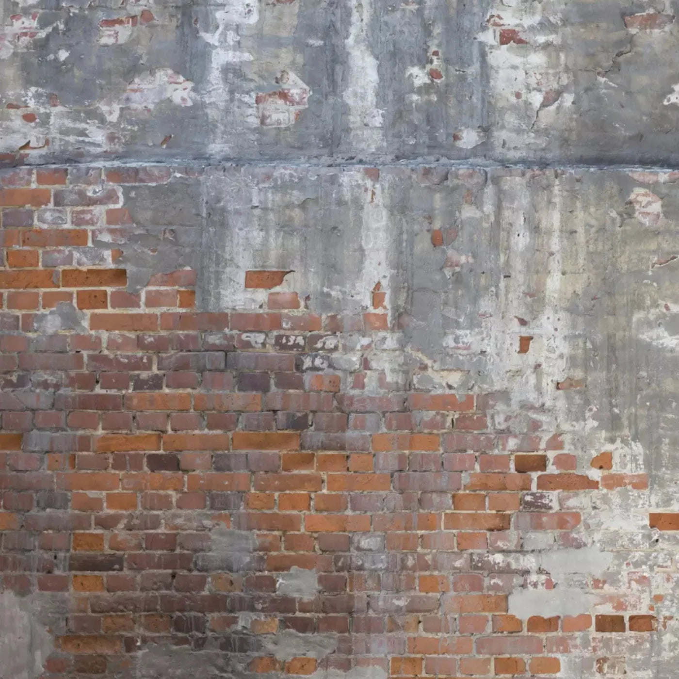 Renovation 8X8 Fleece ( 96 X Inch ) Backdrop