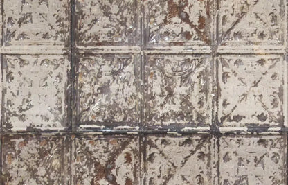 Restore 12X8 Ultracloth ( 144 X 96 Inch ) Backdrop