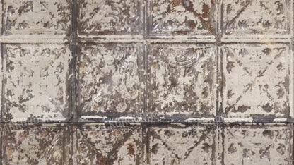 Restore 14X8 Ultracloth ( 168 X 96 Inch ) Backdrop