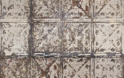 Restore 14X9 Ultracloth ( 168 X 108 Inch ) Backdrop