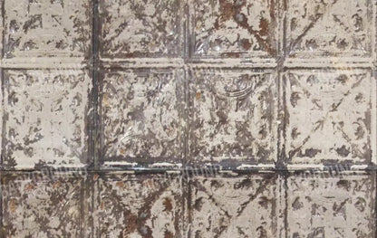 Restore 16X10 Ultracloth ( 192 X 120 Inch ) Backdrop