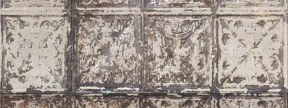 Restore 20X8 Ultracloth ( 240 X 96 Inch ) Backdrop