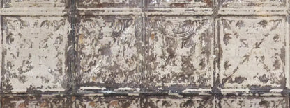 Restore 20X8 Ultracloth ( 240 X 96 Inch ) Backdrop