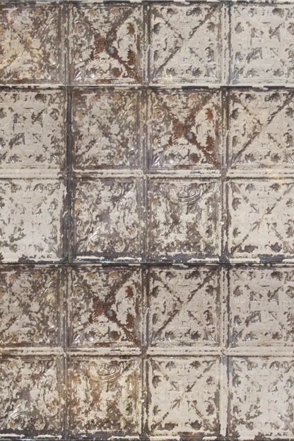 Restore 5X8 Ultracloth ( 60 X 96 Inch ) Backdrop