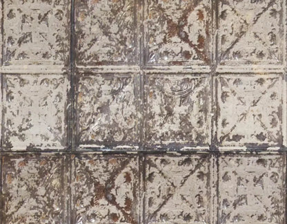 Restore 8X6 Fleece ( 96 X 72 Inch ) Backdrop