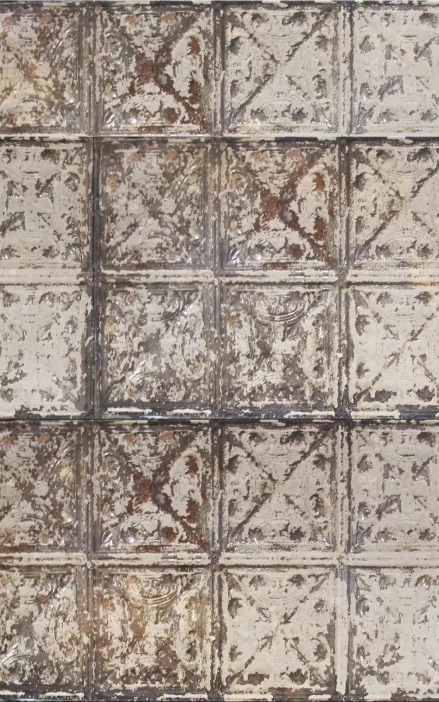 Restore 9X14 Ultracloth ( 108 X 168 Inch ) Backdrop