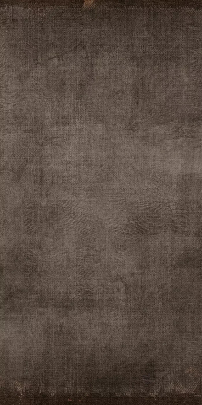 Reuben 10X20 Ultracloth ( 120 X 240 Inch ) Backdrop