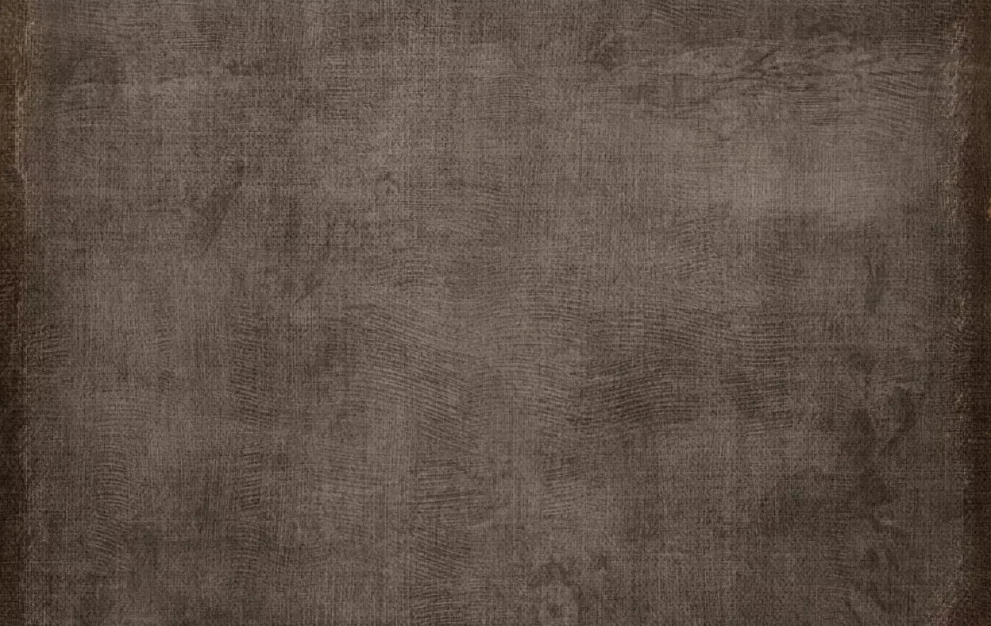 Reuben 16X10 Ultracloth ( 192 X 120 Inch ) Backdrop