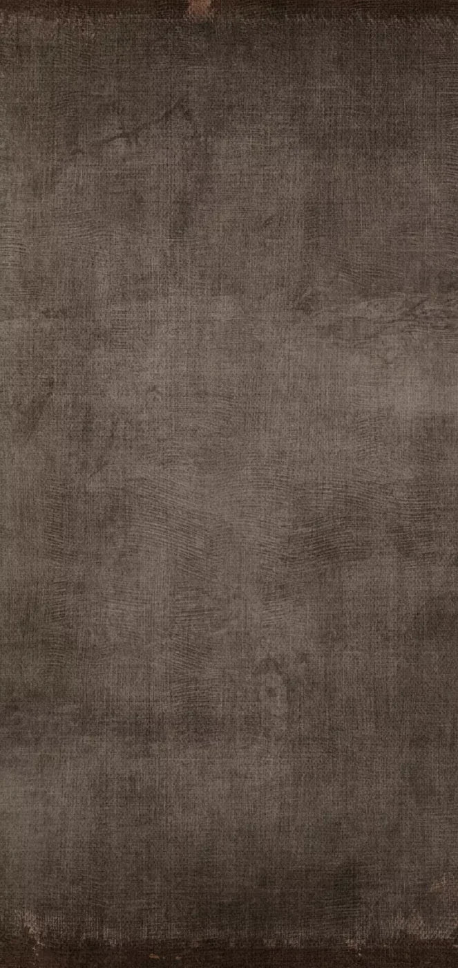 Reuben 8X16 Ultracloth ( 96 X 192 Inch ) Backdrop