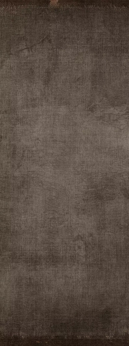 Reuben 8X20 Ultracloth ( 96 X 240 Inch ) Backdrop