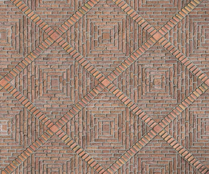 Rhombus 5X42 Fleece ( 60 X 50 Inch ) Backdrop