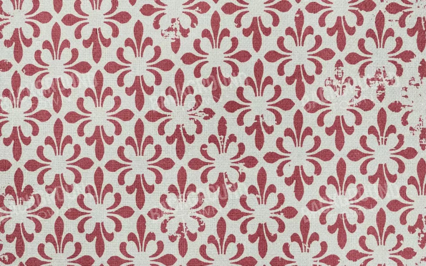 Rhonda 14X9 Ultracloth ( 168 X 108 Inch ) Backdrop