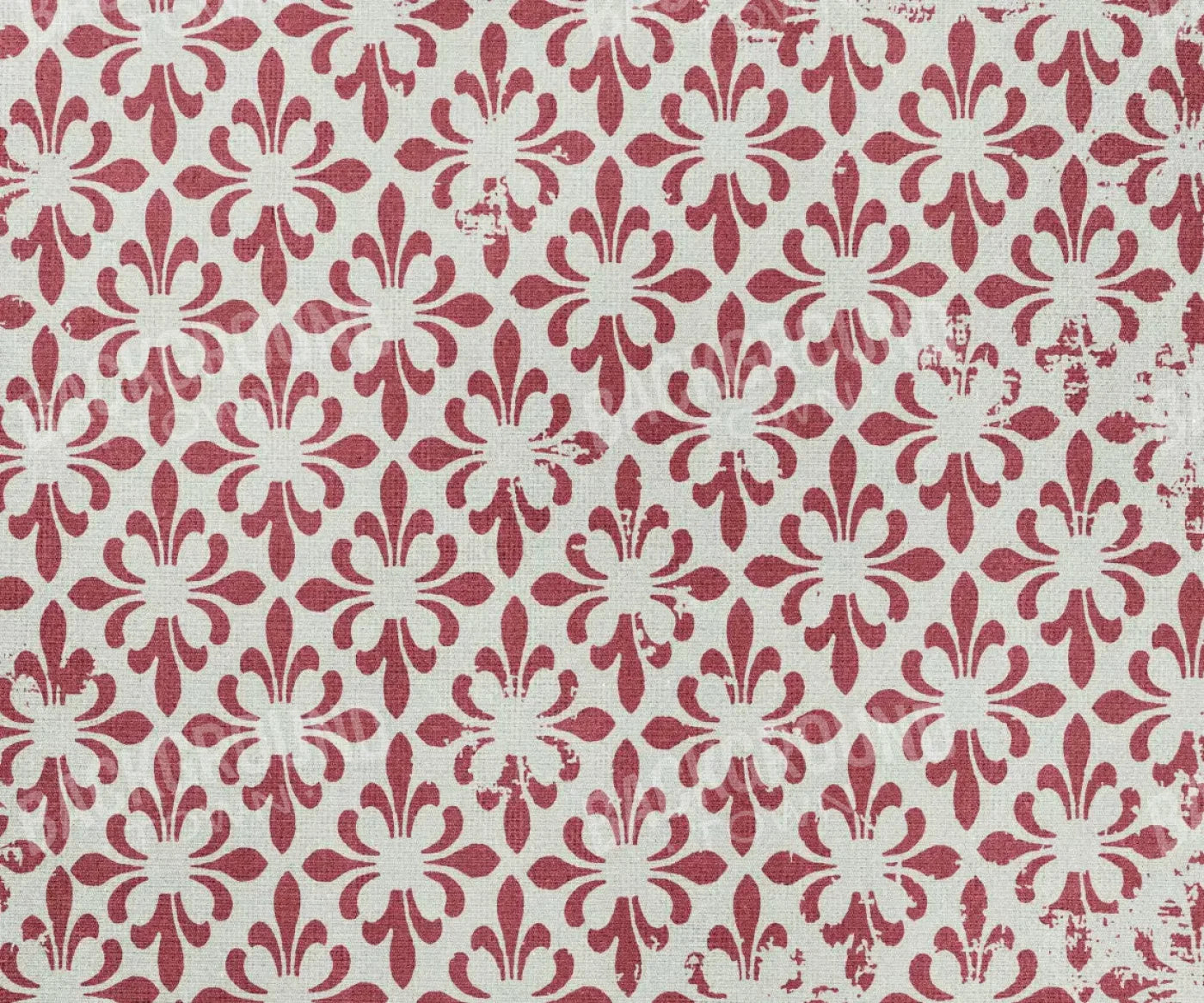 Rhonda 5X42 Fleece ( 60 X 50 Inch ) Backdrop