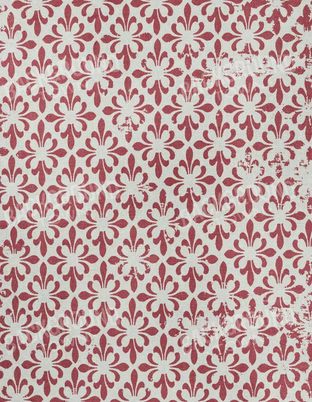 Rhonda 6X8 Fleece ( 72 X 96 Inch ) Backdrop