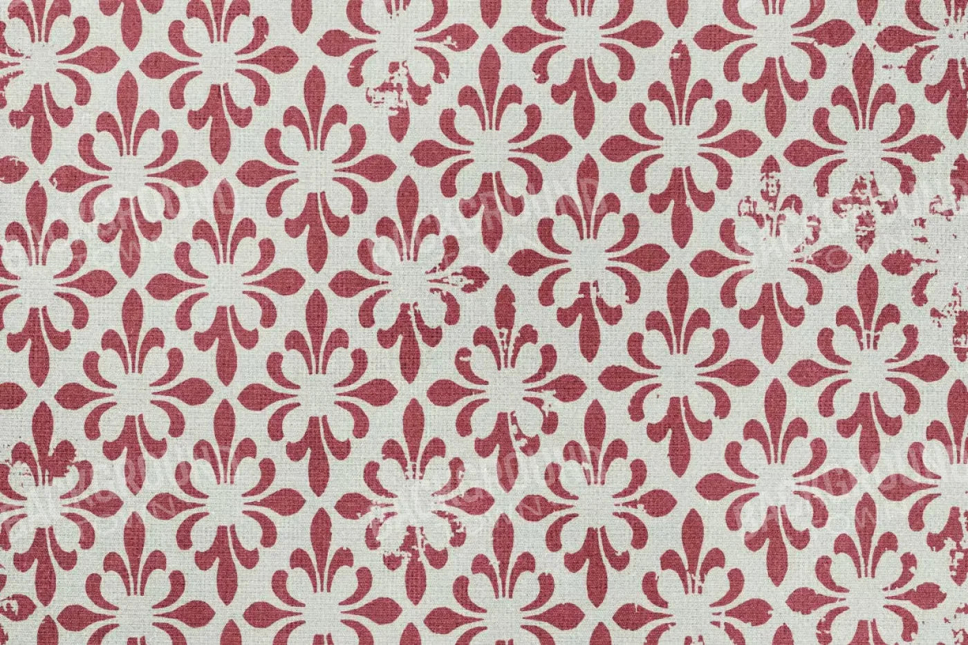 Rhonda 8X5 Ultracloth ( 96 X 60 Inch ) Backdrop