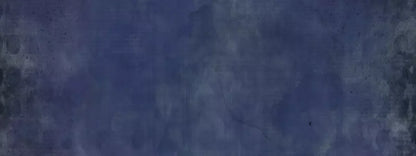 Rhythm N Blues 20X8 Ultracloth ( 240 X 96 Inch ) Backdrop