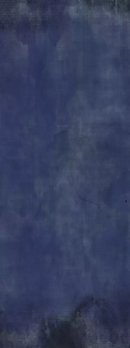 Rhythm N Blues 8X20 Ultracloth ( 96 X 240 Inch ) Backdrop