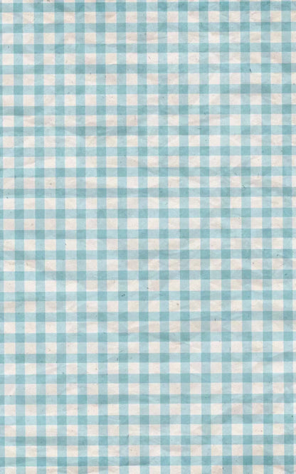 Rick 9X14 Ultracloth ( 108 X 168 Inch ) Backdrop