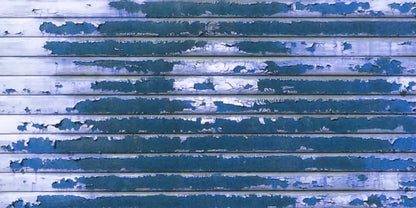Ridge 20X10 Ultracloth ( 240 X 120 Inch ) Backdrop