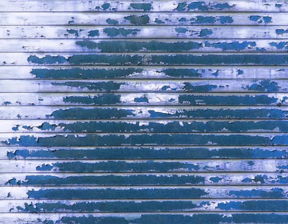 Ridge 8X6 Fleece ( 96 X 72 Inch ) Backdrop