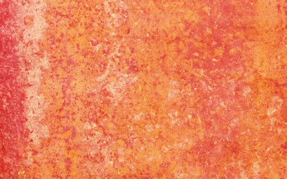 Rilynn 14X9 Ultracloth ( 168 X 108 Inch ) Backdrop