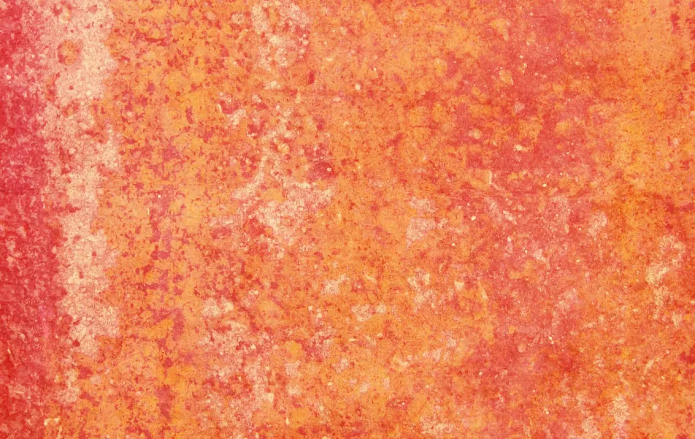 Rilynn 16X10 Ultracloth ( 192 X 120 Inch ) Backdrop