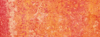 Rilynn 20X8 Ultracloth ( 240 X 96 Inch ) Backdrop