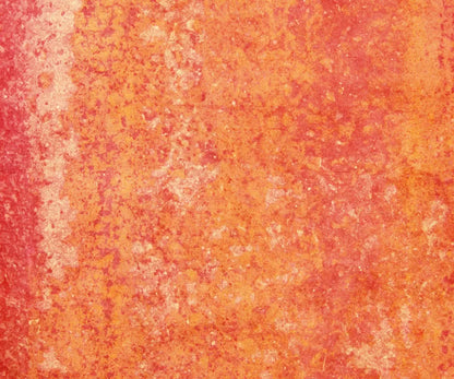 Rilynn 5X42 Fleece ( 60 X 50 Inch ) Backdrop