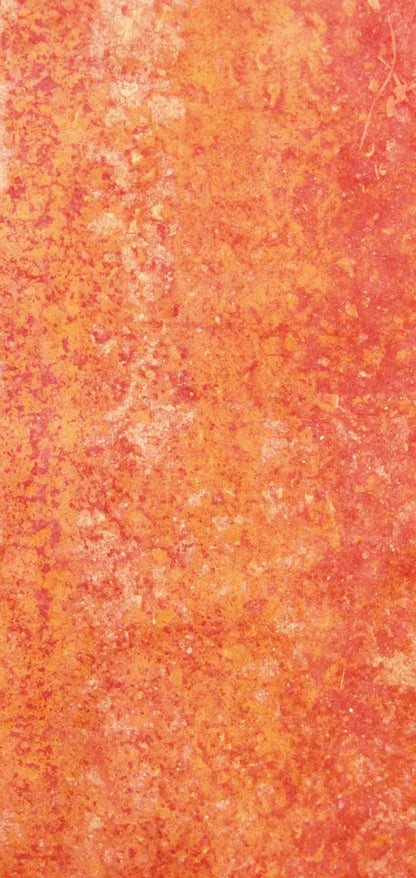 Rilynn 8X16 Ultracloth ( 96 X 192 Inch ) Backdrop