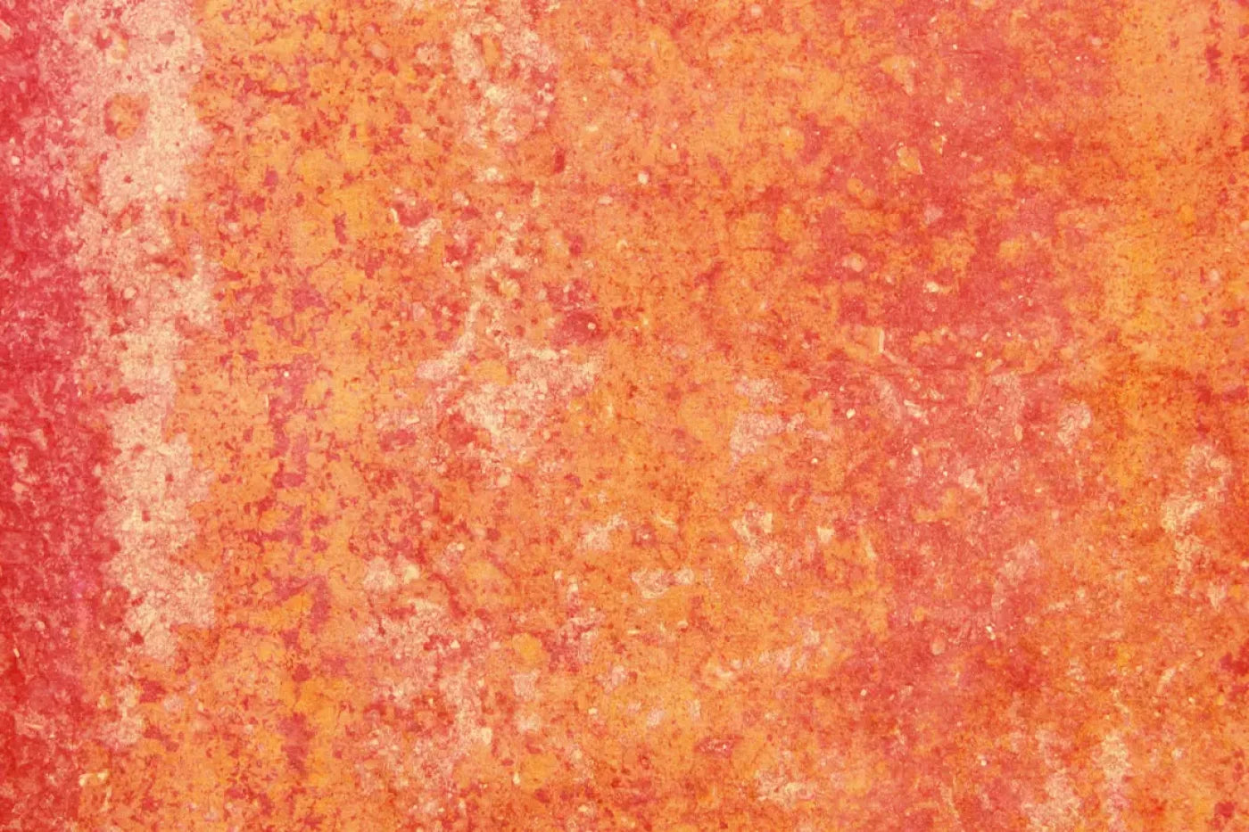 Rilynn Backdrop