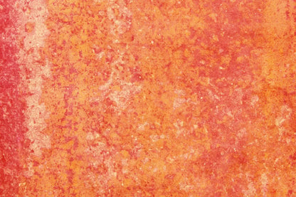 Rilynn Backdrop