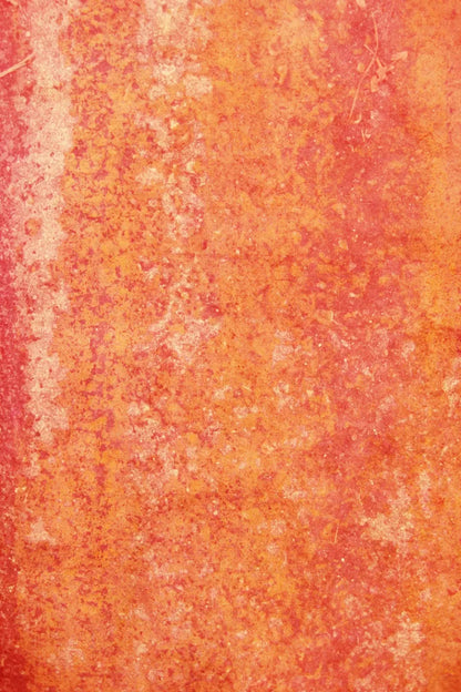 Rilynn Backdrop