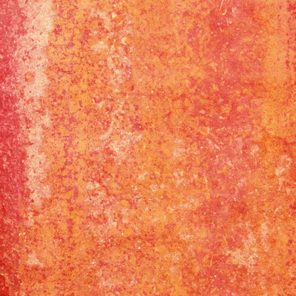 Rilynn Backdrop
