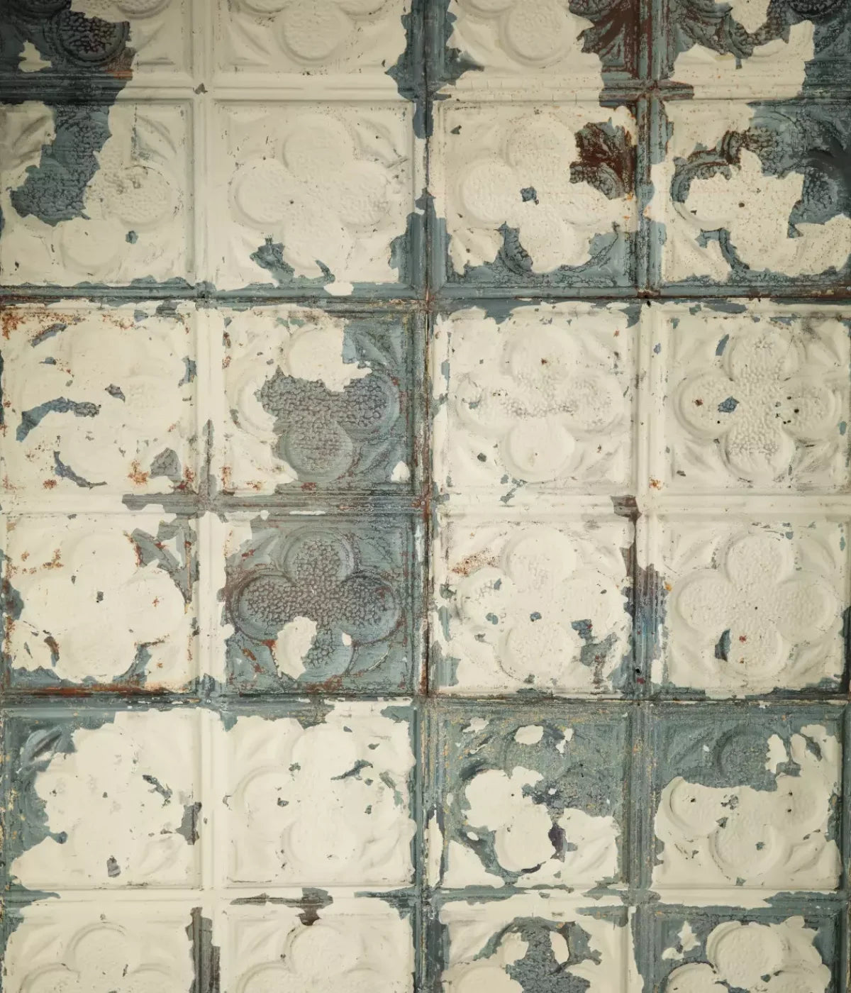 Rin Tin 10X12 Ultracloth ( 120 X 144 Inch ) Backdrop