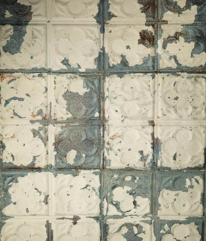 Rin Tin 10X12 Ultracloth ( 120 X 144 Inch ) Backdrop