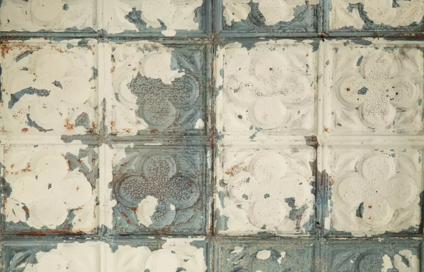 Rin Tin 12X8 Ultracloth ( 144 X 96 Inch ) Backdrop