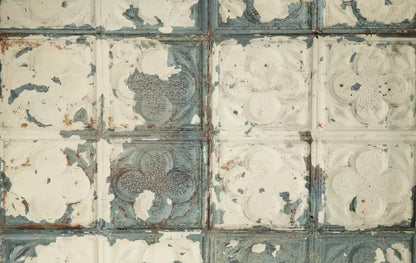 Rin Tin 16X10 Ultracloth ( 192 X 120 Inch ) Backdrop