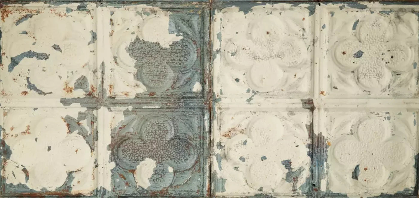 Rin Tin 16X8 Ultracloth ( 192 X 96 Inch ) Backdrop