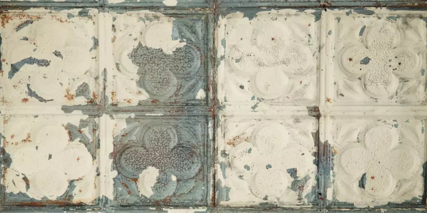 Rin Tin 20X10 Ultracloth ( 240 X 120 Inch ) Backdrop