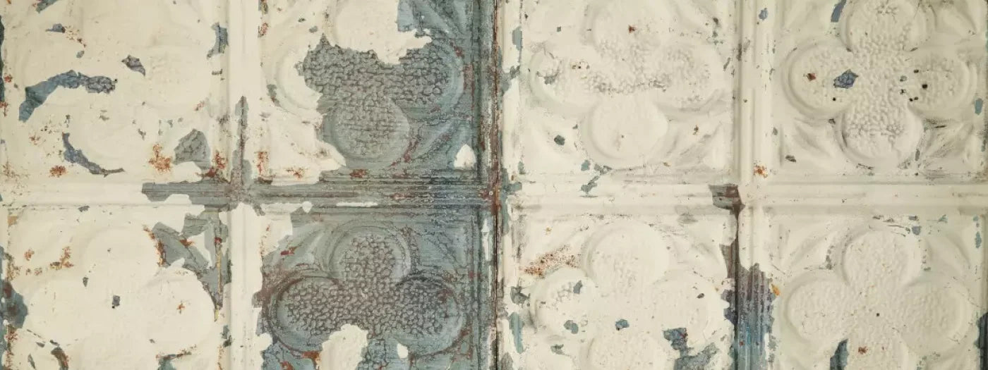 Rin Tin 20X8 Ultracloth ( 240 X 96 Inch ) Backdrop