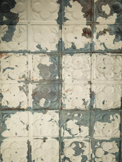 Rin Tin 5X7 Ultracloth ( 60 X 84 Inch ) Backdrop