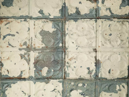 Rin Tin 7X5 Ultracloth ( 84 X 60 Inch ) Backdrop