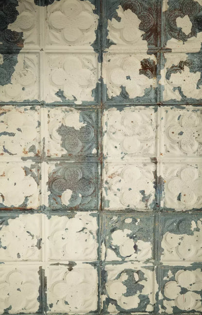 Rin Tin 8X12 Ultracloth ( 96 X 144 Inch ) Backdrop