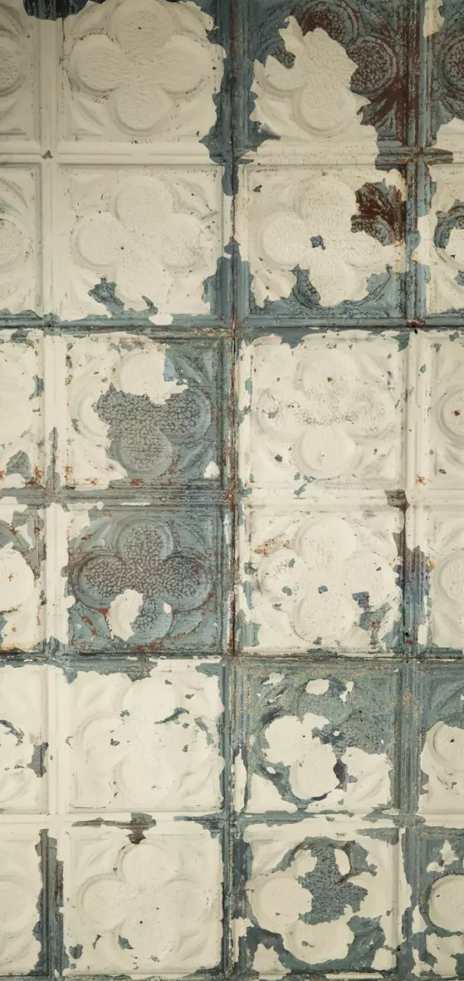 Rin Tin 8X16 Ultracloth ( 96 X 192 Inch ) Backdrop