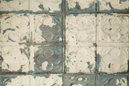 Rin Tin 8X5 Ultracloth ( 96 X 60 Inch ) Backdrop